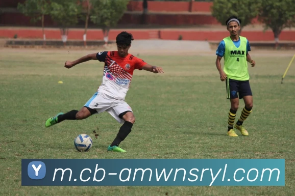 威尼斯人官网平台生态图