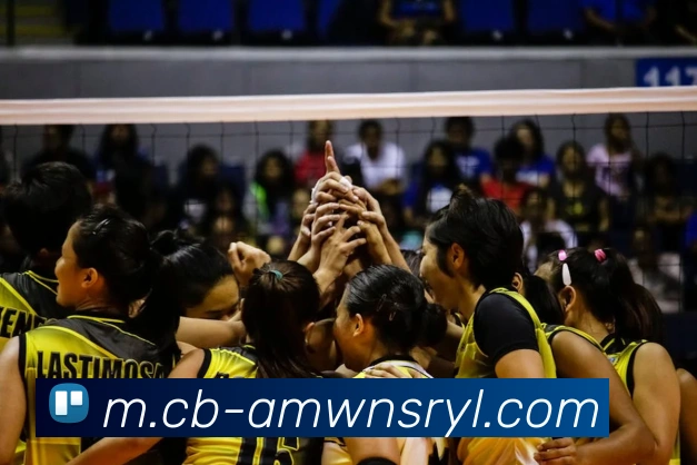 威尼斯人官网APP 封面图